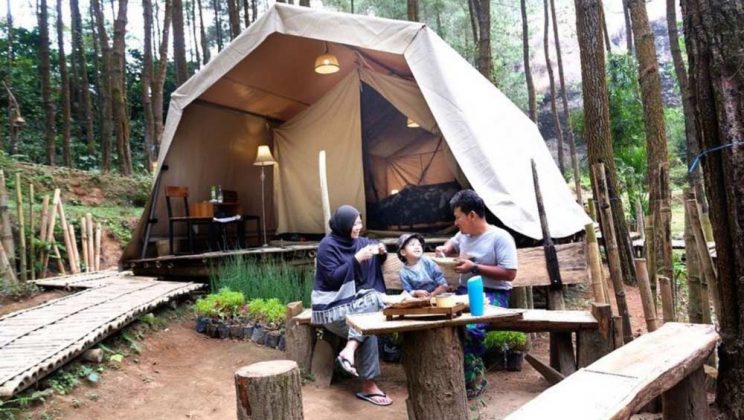 DeLoano Glamping di Purworejo, Camping Ceria di Hutan Pinus