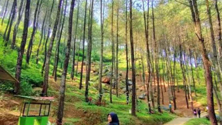 Puthuk Panggang Welut di Mojokerto, Jawa Timur