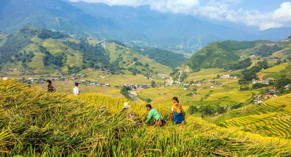 Mengunjungi 10 Tempat Wisata di Vietnam, Perhatikan Hal Berikut!