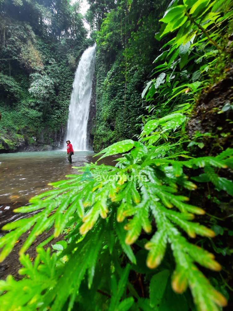 Air Terjun Talang RAbun - Tempat Wisata di Pesawaran