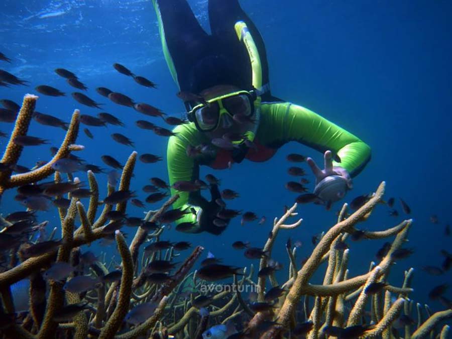 Pulau-Kelagian-destinasi-wisata-lampung-6